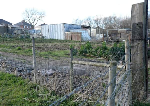 General shot of the Highfield Park allotments in Maltby