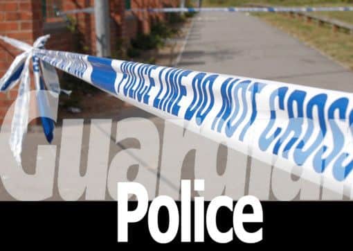 Guardian Police logo