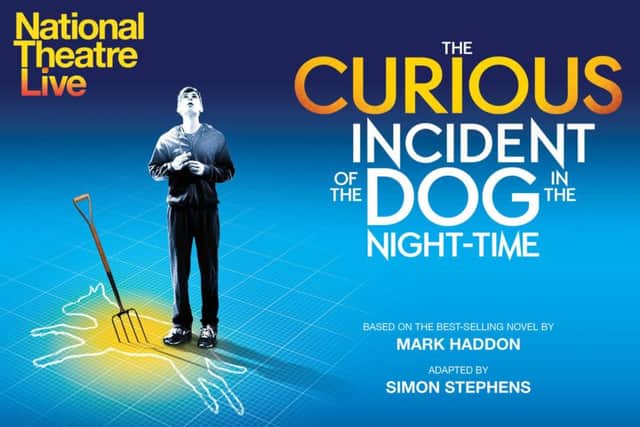 Curious Incident of the Dog in the Night Time