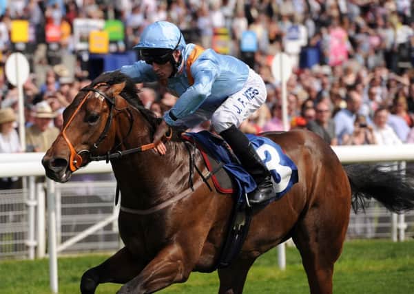 FEEL THE FORCE -- David O'Meara's three-year-old G Force, who looked a sprinter to follow when winning at York's Dante meeting (PHOTO BY: Anna Gowthorpe/PA Wire).
