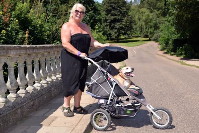 Fun in the sun, 14-year-old Amber the dog has her own mode of transport during the hot weather, pushed by owner Pat