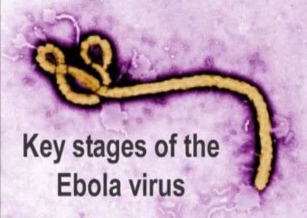 Key stages of the Ebola virus