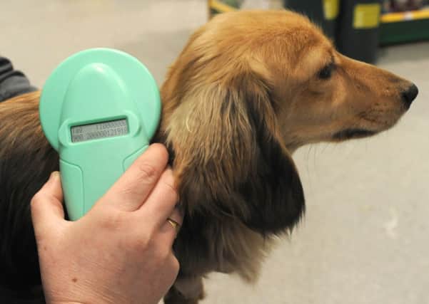 Pet microchipping at Pets At Home, Robin Retail Park