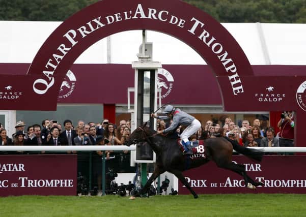 DEJA VU -- Treve, who won the Qatar Prix de l'Arc de Triomphe at Longchamp yesterday for the second year running. (PHOTO BY: Francois Mori)