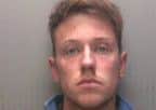 Ryan Potts