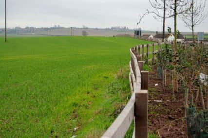 The site where the industrial estate will be developed if approved