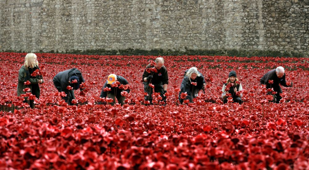 VIDEO: Tower of London poppies - volunteers remove commemorative ...