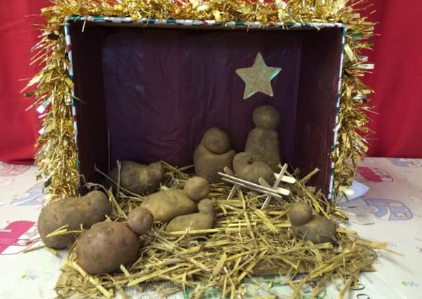 Potato nativity by Williamsons Farm