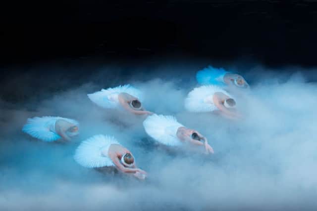 Swan Lake