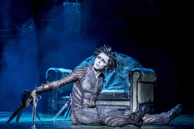Dominic North stars as Edward Scissorhands at Nottingham Theatre Royal. Picture: Johan Persson