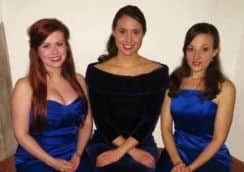 Sinopia are performing in Worksop this month