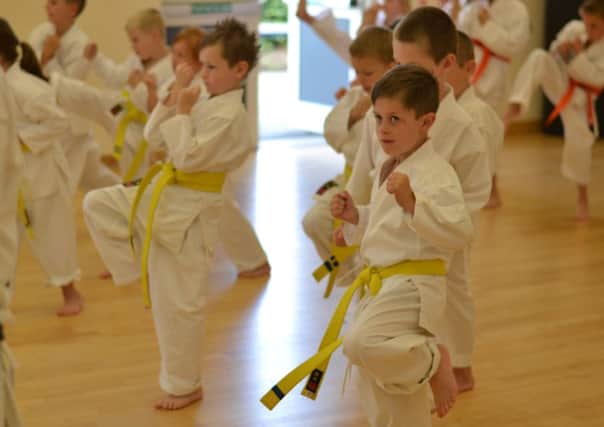 Karate lessons are one of the things Norbridge Academy uses the Pupil Premium funding to provide