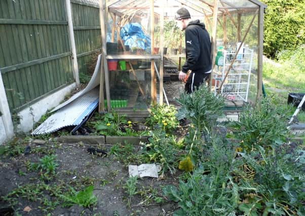 Local charity Hope is looking for community votes for their garden project