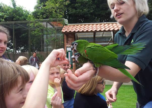 Jayne Grayson's family visit the Tropical Butterfly House in North Anston