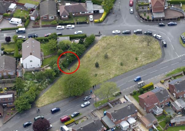 The spot where Amber was found (circled) and the patch of land to the left where a bungalow will be built.