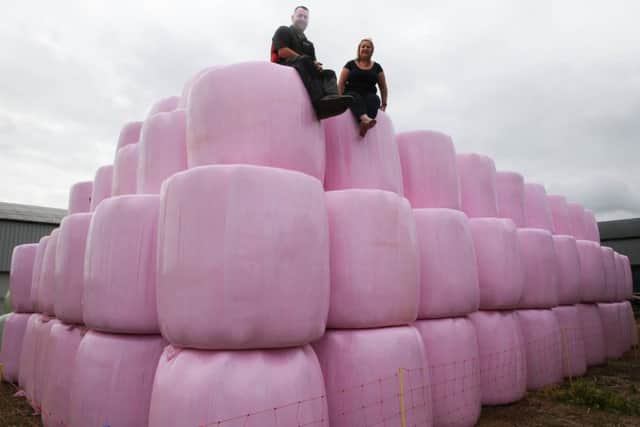 Pink hale bales!Dumb Hall Farm, Steetley, Worksop   Chris & Sharon Clark