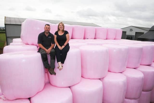 Pink hale bales!
Dumb Hall Farm, Steetley, Worksop Chris & Sharon Clark
