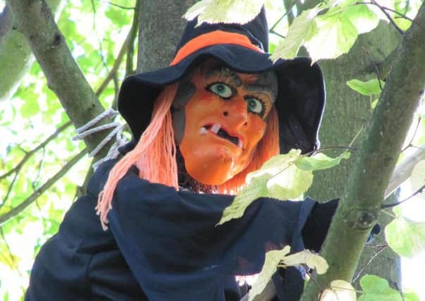 A Halloween trail at Rufford Park is one of the events taking place across the county this weekend