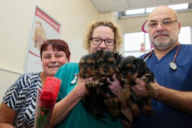 LL>R Angela Hancock, Suzhy Winfield, V the Vet and puppies Ralph, Lollipop and Daisy