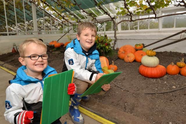 Half term pumpkin trail at Clumber Parks Walled Kitchen Garden, pictured are James Henderson, four and Ben Henderson, seven