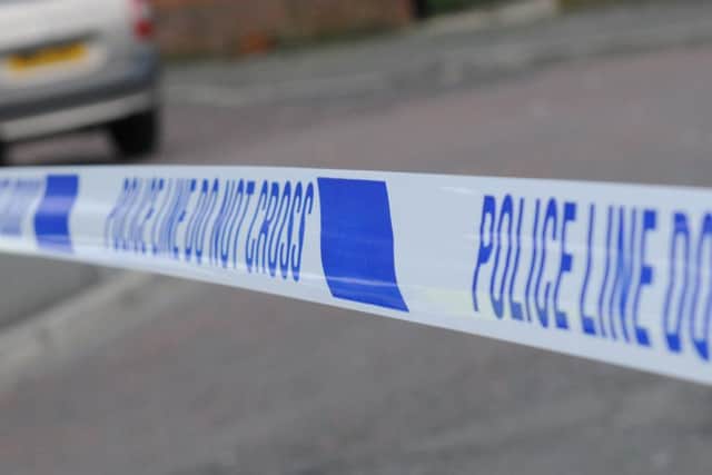 There are concerns over a proposed merge of police dog sections