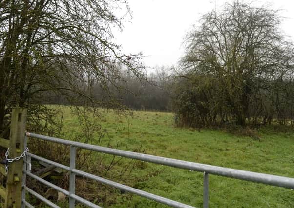 The proposed travellers' site at Wellow
