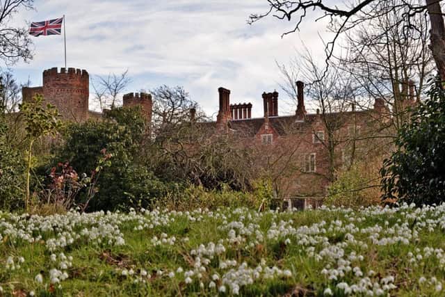 Snowdrops at Hodsock Priory