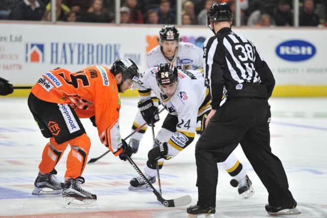 Robert Dowd in action for Sheffield Steelers v Nottingham Panthers last year