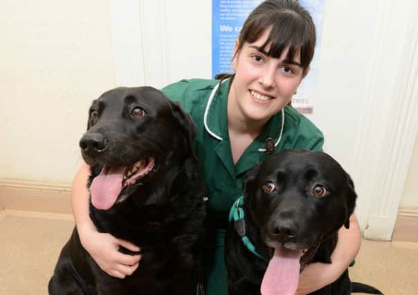 Dowdings nurse Kirsty Preston has her hands full weighing Labradors Harry and Bob.