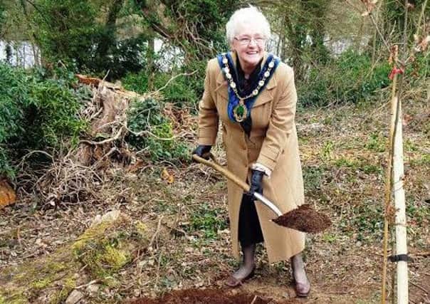 Chair of Bassetlaw District Council Gwynneth Jones helps to plant the oak tree