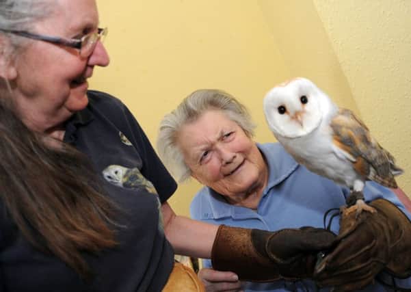 Jean Traylor, a resident of the North Warren House Care Home, meets up with Annette Mackenzie from Owlin'Mad and her Barn Owl Boogie during a Spring Fair on Saturday.