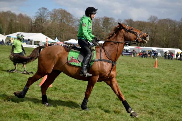 Thoresby Country Fair, horseboarding event