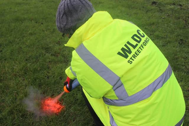 Council officers will be spray painting dog mess bright orange