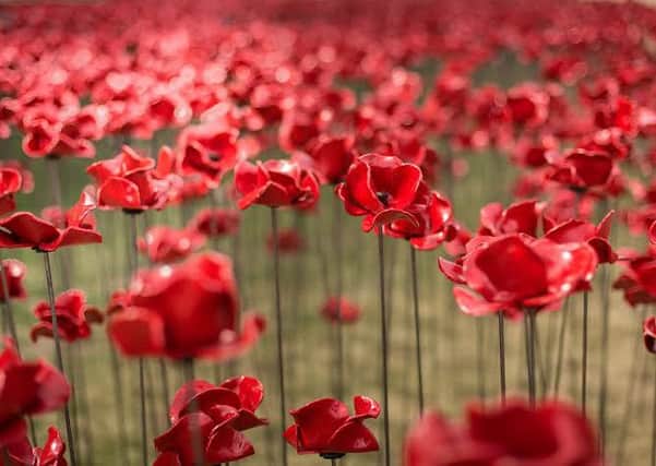 The iconic Poppies: Wave installation is coming to Lincoln Castle next year