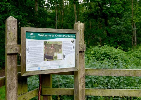 Owlet Plantation Nature Reserve, Blyton