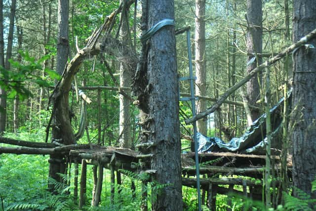 A source claimed an elaborate campsite was built by people living in the forest. The chad has learned it was actually built by local teens in 2010.