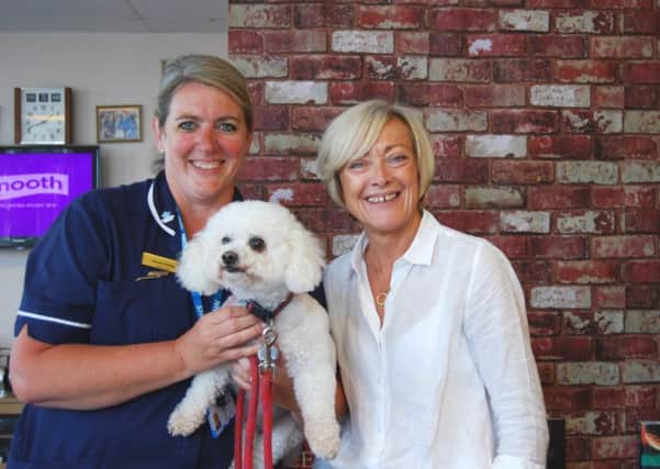 Alfie the therapy dog visited Scotter Ward at John Coupland Hospital