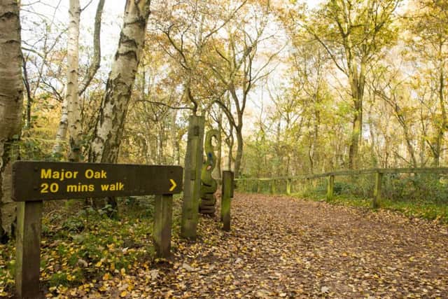 The Major Oak Festival takes place at Sherwood Forest this month. Picture: Tracey Whitefoot