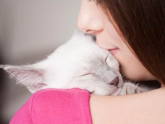 Cats carry a rare bacteria in their mouths and claws, which can be passed on to humans.