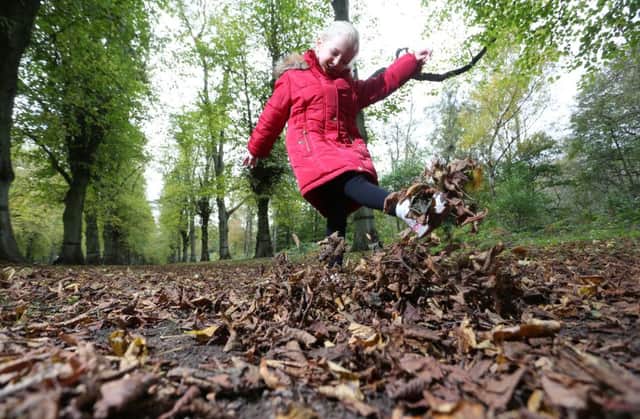 Lily Newcombe, 4, enjoys autumn. Photo by Mark Fear Photography.