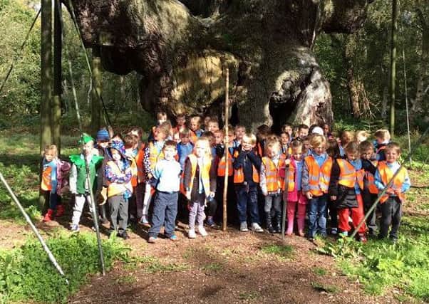 St Anne's School pupils saw the Major Oak as part of their visit to Sherwood Forest