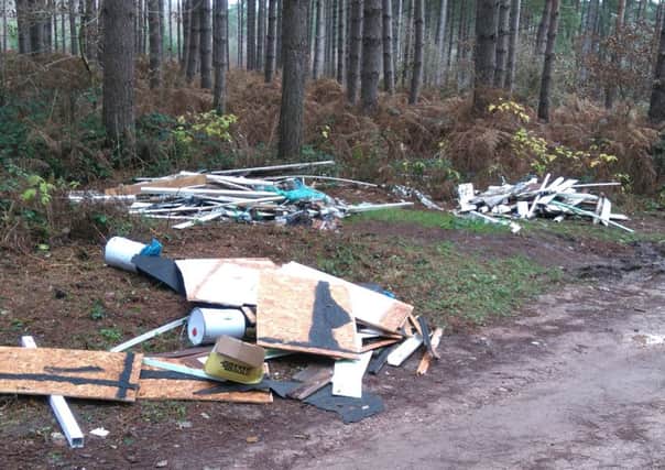 The dumped rubbish close to Plantation Cottages, near Clumber Park.