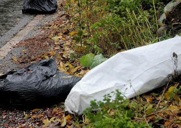 Steetley Lane near Worksop, where Rubbish filled Bin Bags have been dumped at the roadside, over a 300 Metre length of the Lane.