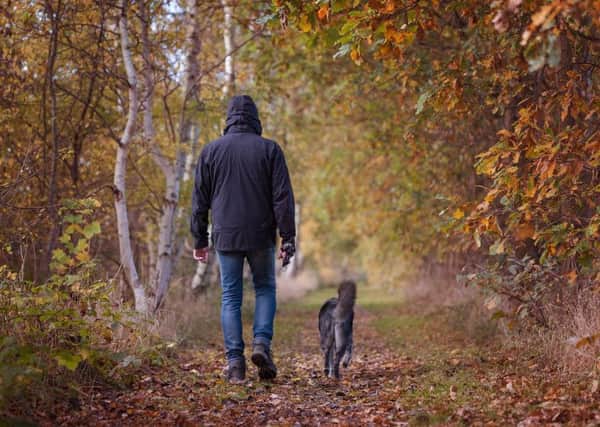 Walking the dog is a great way to get more exercise