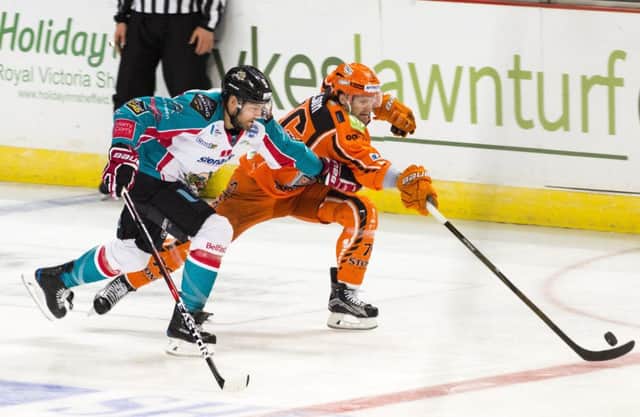 Sheffield Steelers v Belfast Giants
Steelers Levi Nelson reaches out for the puck