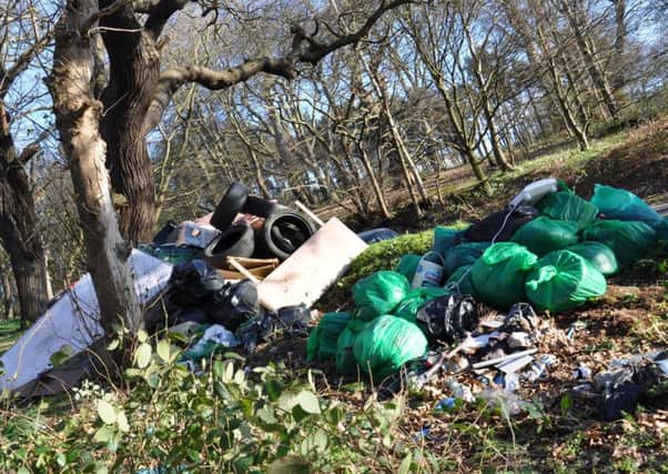 Some of the dumped rubbish at the fly-tipping hotspot of Carlton Forest.