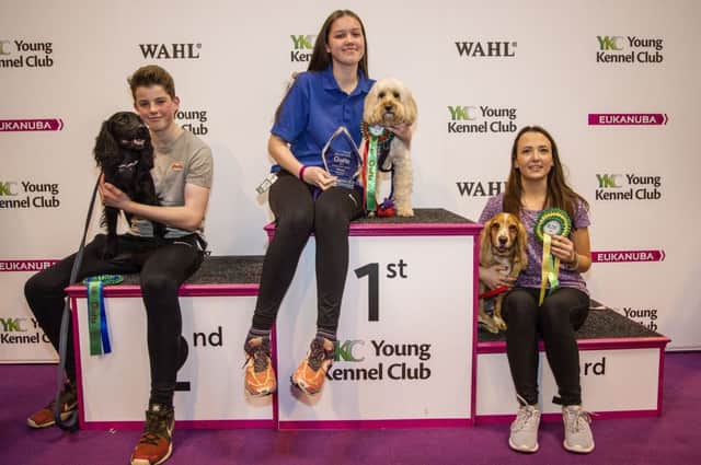 20170311 Copyright onEdition 2017
Free for editorial use image, please credit: onEdition


YKC Medium ABC Agility Winner Rebecca Colley and Doodle Daydream, 2nd Thomas Shaw and Blackengine Dusk and 3rd Kaite Cusack and Ruby today (Saturday 11.03.17), the third day of Crufts 2017, at the NEC Birmingham.


Crufts is the world's greatest dog show and this year will see around 22,000 healthy, happy dogs competing for the coveted 'Best in Show' title as well as taking part in the many other competitions that take place at the show, from Agility and Flyball to the hero dog competition Eukanuba Friends for Life and Scruffts Family Crossbreed of the Year. Crufts 2017 runs from the 9th to the 12th March at the NEC, Birmingham.

Crufts is the perfect opportunity for dog lovers meet around 200 breeds of dog, find out how to go about getting a dog, and to find out about activities and competitions they can get involved in with their own dog.

For more information please contact the Press Office via: T: 020 7518 1008 / 10