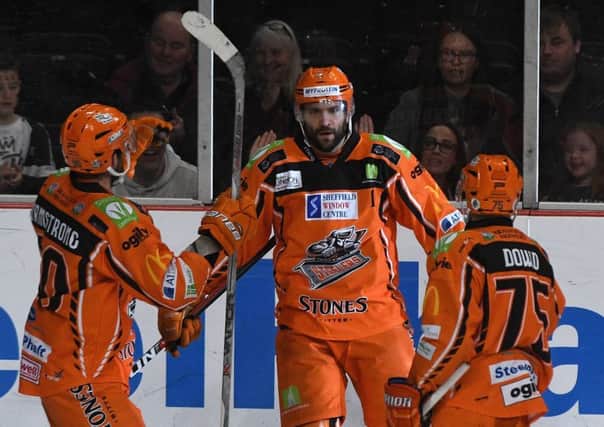 Sheffield Steelers' players celebrate Guillaume Desbiens goal against Cardiff Devils.