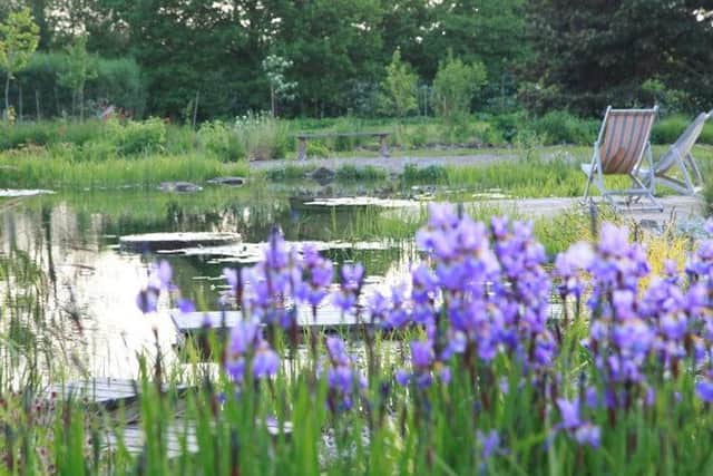 Ellicar gardens