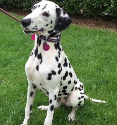 Penny as she is today